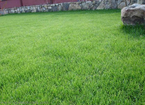 Благоустройство, фотография 1