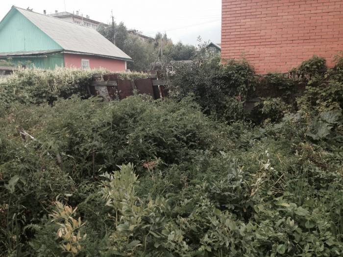 Продам пол дома и домик во дворе.ВОЗМОЖНО ПРОЖИВАНИЕ двух семей!, фотография 4