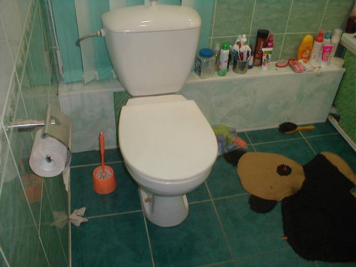 4 комнатная Босфор 2 этаж, Сандригайло 65, фотография 2