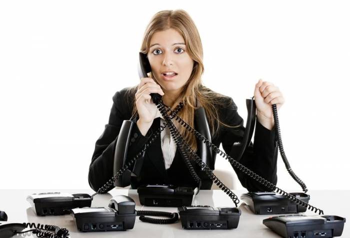 Купи IP АТС ETEL Standart сегодня!, фотография 1