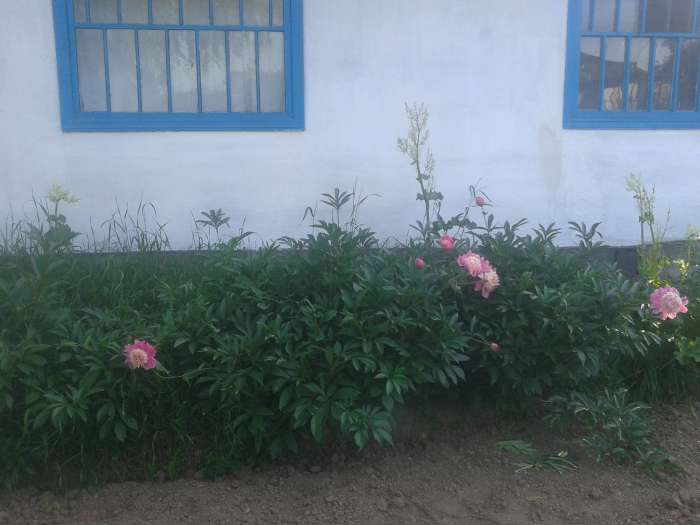 дом, Железняка, фотография 5