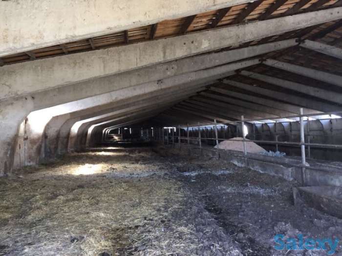 Продам животноводческую базу, С. Айдабол, фотография 2