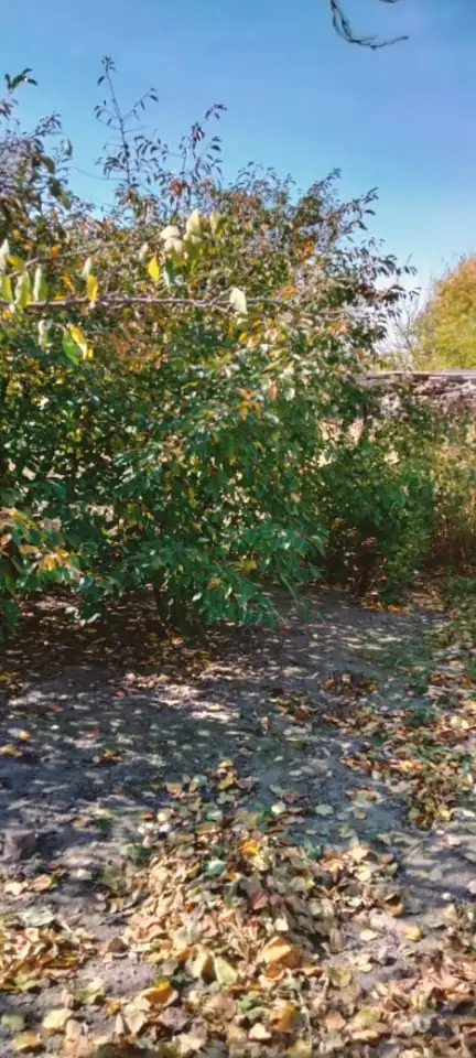 Продается дом, 74,1 кв.метра, тупик Некрасова 7, фотография 16