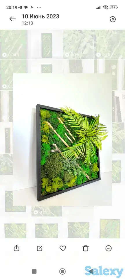 Картина из стабилизированного мха., фотография 1