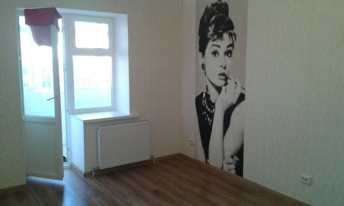 Ремонт все виды ремонтных работ и фасадов, фотография 4