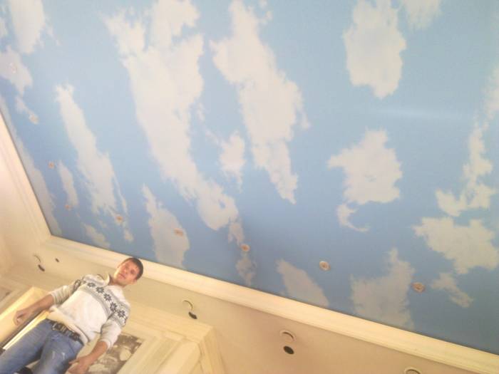 Натяжные потолки,фрески,панно,фотопечать,светодиодные лампы., фотография 5