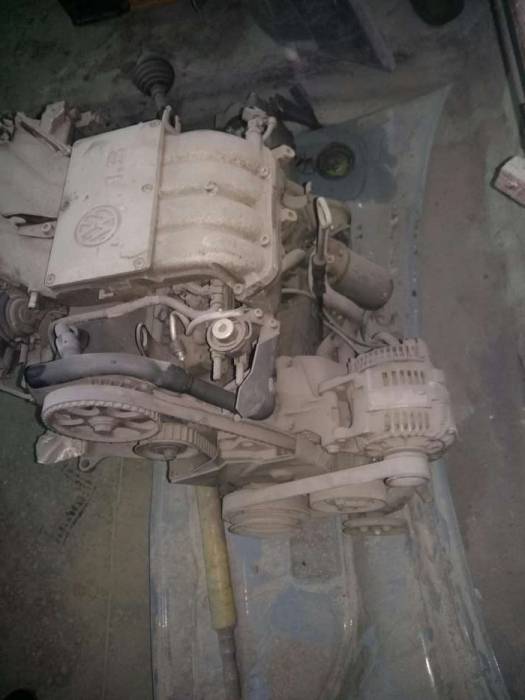 Услуги костоправа, маляра , фотография 2