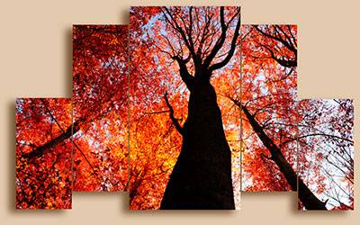 Модульные картины на стекле, фотография 8