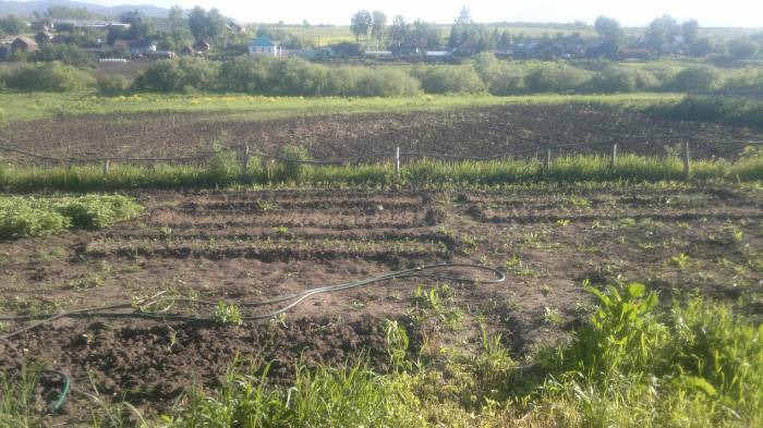 Дом в Белокаменке, Белокаменка, фотография 4