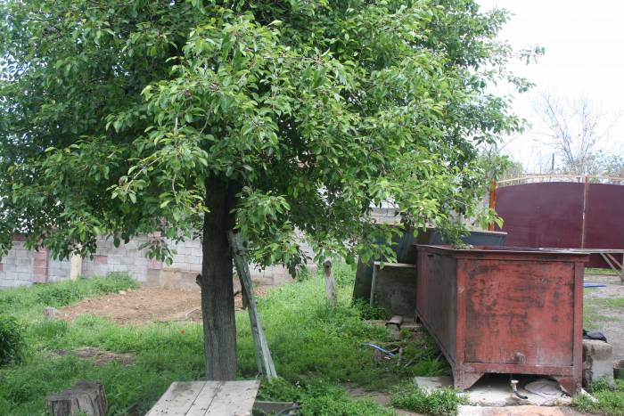 Обмен дома, Илийский район, от Камаз Центра 5-6 км, первомайские пруды дача Ардагер Ветеран., фотография 4