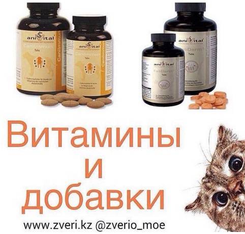 Зоотовары в Алматы, фотография 2