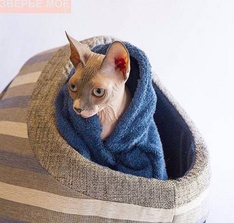 Зоотовары в Алматы, фотография 4