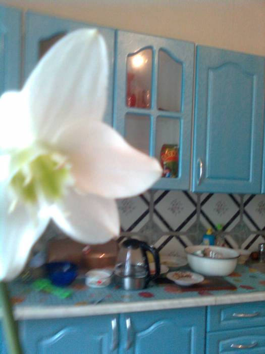 Продается капитальный дом, Шахтинск, фотография 5