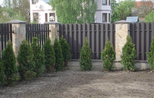 Евроштакетник, фотография 5