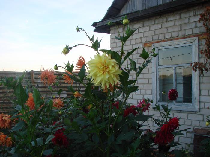 Продам или обменяю отличный дом, с.петерфельд, фотография 5