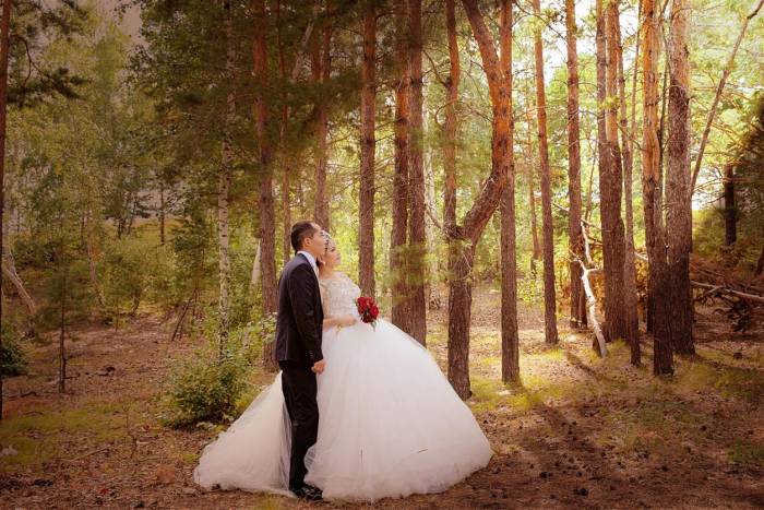 Фото и видео съемка на свадьбу, дни рождения, праздники и т.д. , фотография 1