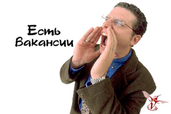 Помощник кладовщика., фотография 1