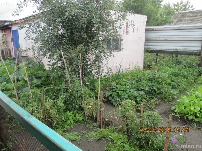 Благоустроенный частный дом в г.Омске, фотография 6