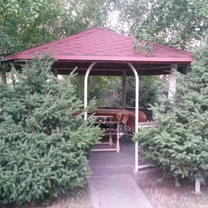 сдается коттедж посуточно , астана, фотография 6