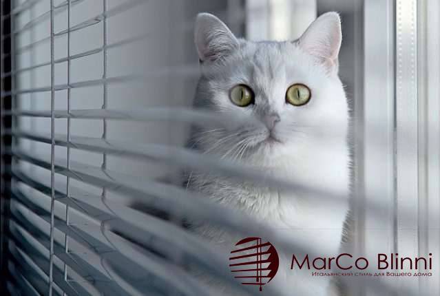 Жалюзи вертикальные тканевые, фотография 3