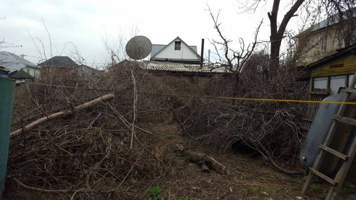 Спил деревьев в Алматы и Алматинской области!!!, фотография 2