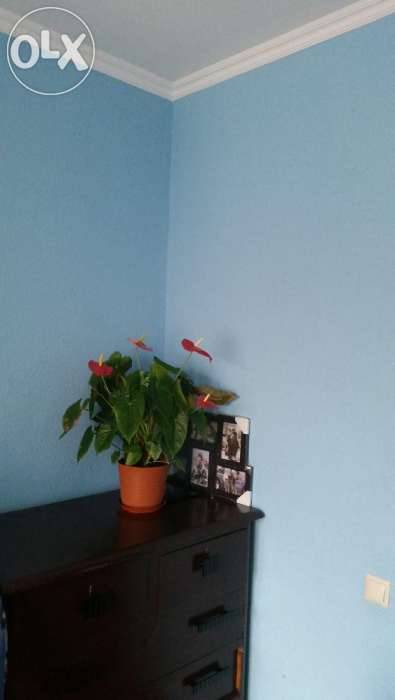 Продам квартира улучшенной планировки, Алматинская область, Илийский район, пос. Отеген Батыр, фотография 7