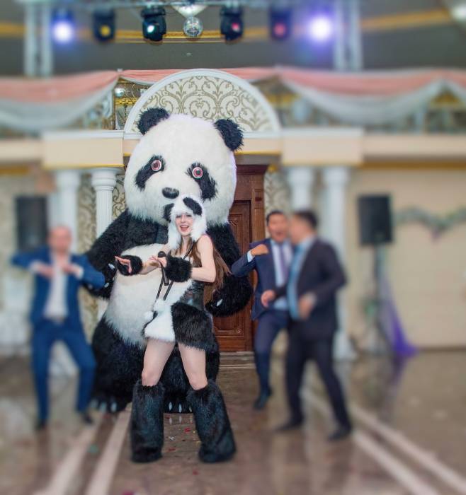 Мишки на праздник, фотография 4