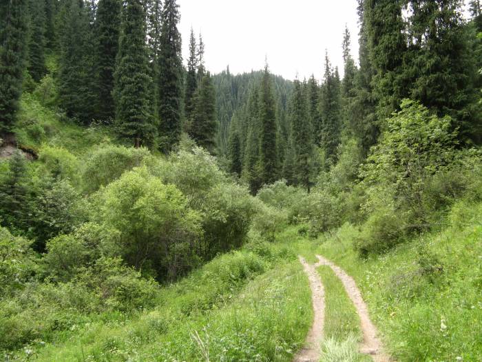 Незабываемые туры на Кольсайские озера!, фотография 5