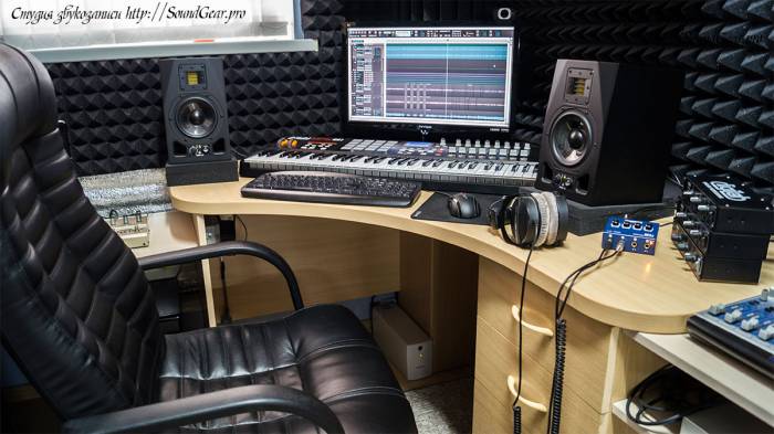 профессиональная запись, фотография 1