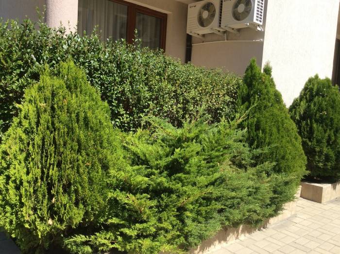 Комплекс МАРВЕЛ 1 в Болгарии,большие квартиры по низким ценам! Без посредников!, фотография 4