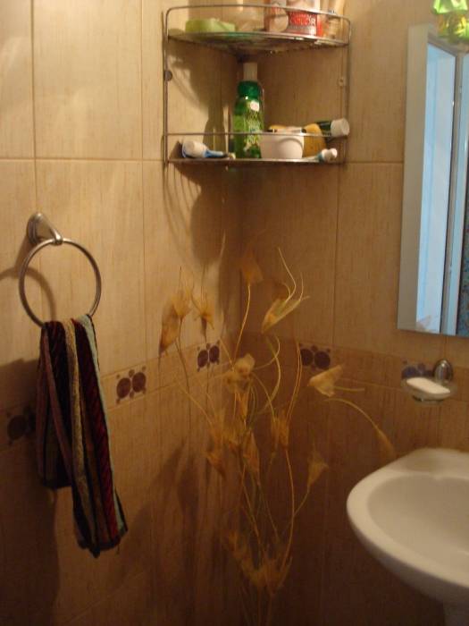  Продам собственную квартиру в Болгарии без посредников! Выгодно, срочно!, фотография 12