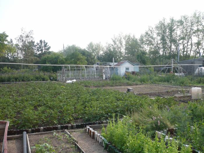 Продам дом в дачном участке, фотография 8