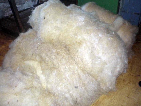 Предлагаем услуги ПОШ (первичная обработка шерсти) , фотография 1