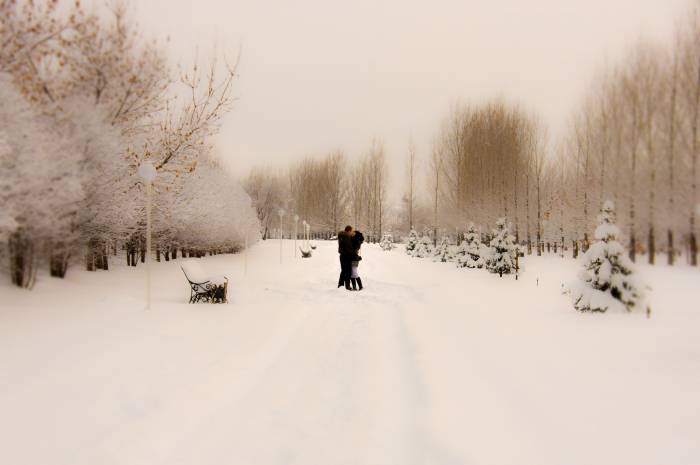 Фото съёмка, видео и тамада., фотография 11