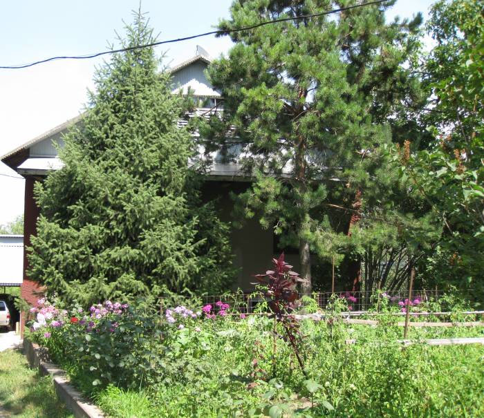 Дом 8 соток, фотография 1