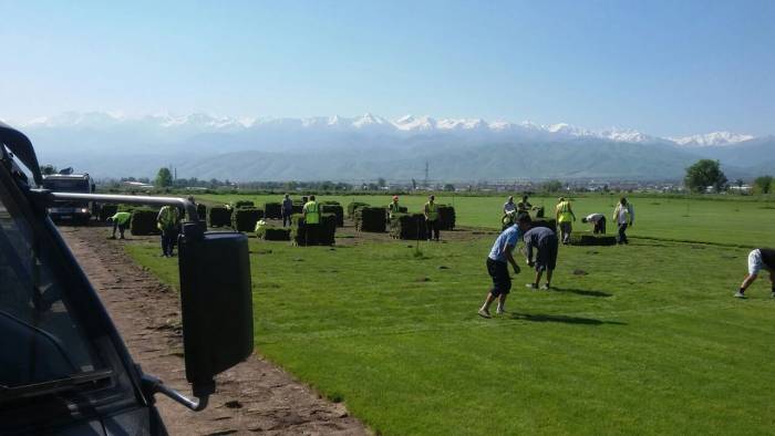 укладка газона, фотография 2