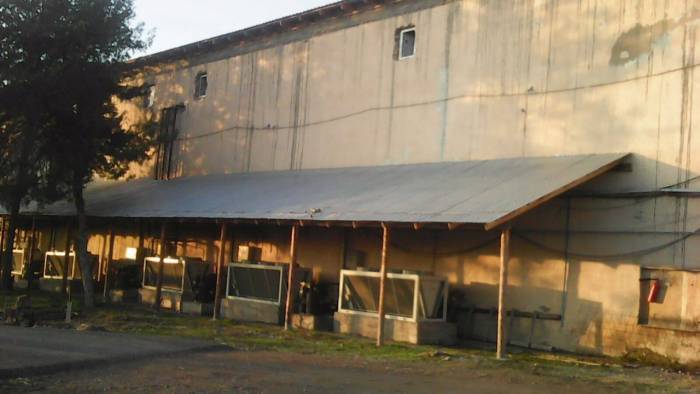 Продам овощехранилище, трасса Ташкент-Шымкент, фотография 3