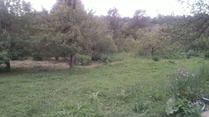 Продам дом, г ул,Алмалыкская20, фотография 2