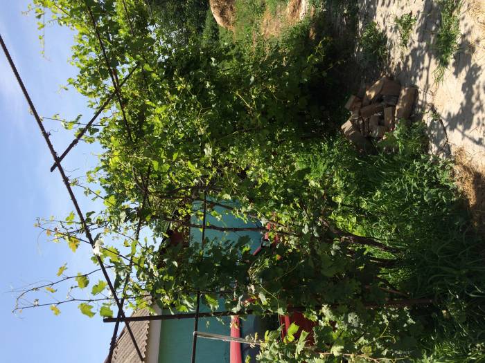 Продам дачу(о цене можно договориться), Байсерке,Садовая 96, фотография 5