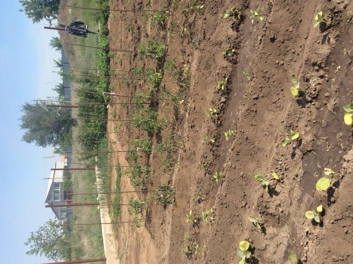 Продам коттедж в г.Темиртау, фотография 6