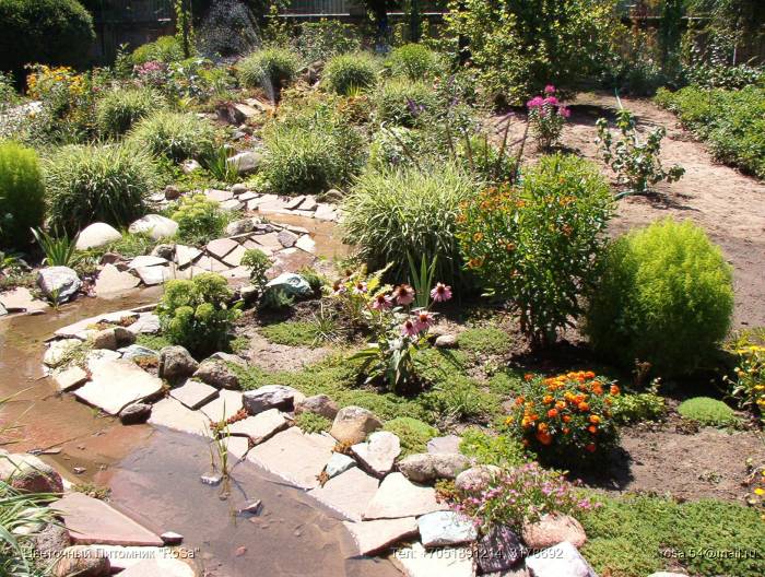 Все виды ландшафтных работ. Озеленение., фотография 7