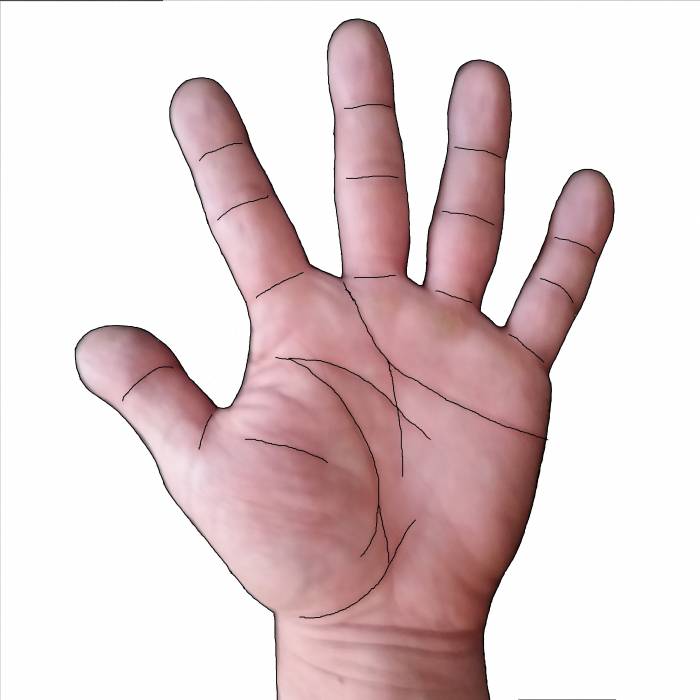 Хиромантия (чтение линий и знаков рук), фотография 1