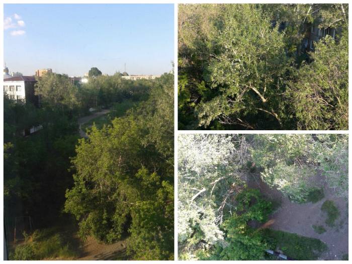 Срочно продам 3-х комнатную или обменяю на недвижимость в Калининграде или области , фотография 2