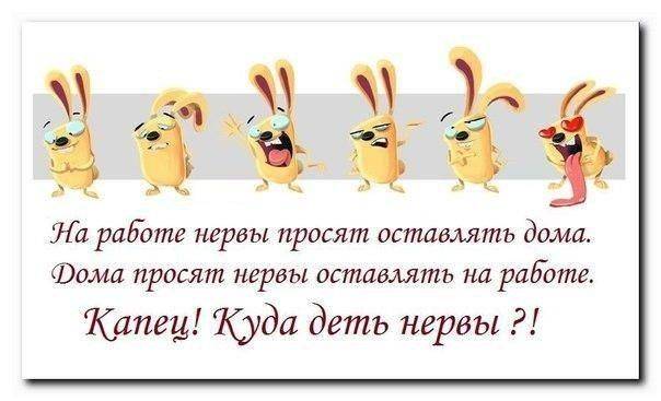 Администратор, фотография 1