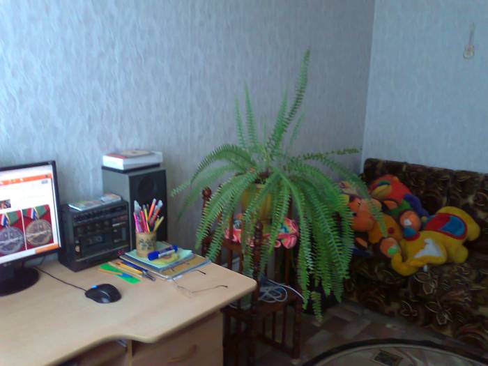 продам дом на алтае, алтайский край с. усть пристань, фотография 7