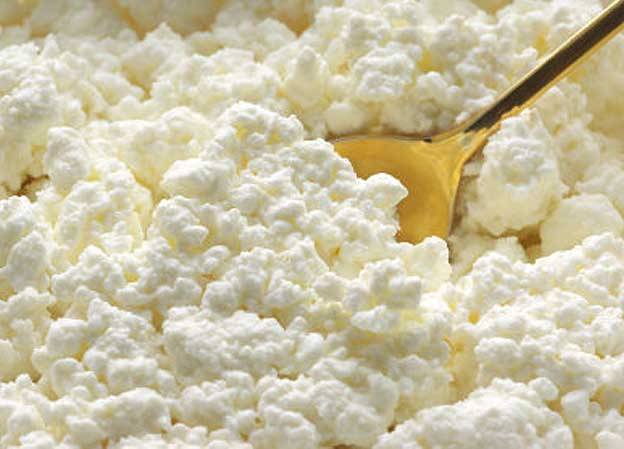  домашняя продукция творог, фотография 1