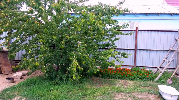 Срочно Продается Дом в центре города, Молдагулова, фотография 10