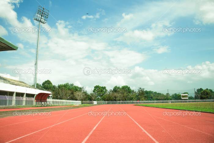 Резиновое покрытие из резиновой крошки, фотография 3