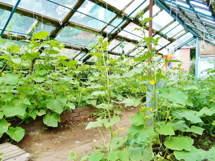 •	Продадим или обменяем два отдельно стоящих, благоустроенных дома, на участке 10 соток., фотография 11