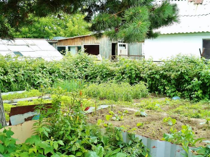 •	Продадим или обменяем два отдельно стоящих, благоустроенных дома, на участке 10 соток., фотография 12